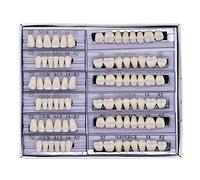 168 Pcs Dental Synthetic Resin Tooth Denture 6 Sets False Teeth 22 A2 Upper Lower Shade Dental for Halloween Horror Teeth (22 A2)
