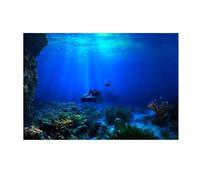ZYAGH Fish Tank Background Aquarium Adhesive Seaworld Background Poster For Fish Tank Decoration Plants Seeds For Fish Tank(61x30cm)