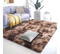 ZYANBIN Area Rugs 120 x 170 cm Soft Area Rugs for Bedroom Modern Suit for Bedroom Dorm Nursery Kids Room Office Lounge Home Decor, Brown