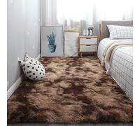 ZYANBIN Rugs Living Room 120 x 170 cm Soft Touch Rug Shaggy Soft Floor Carpets Non Slip for Living Room and Bedroom, Brown