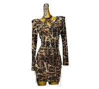 ZYDANC Fringed Latin Dance Dress Printed Tango Cha Cha Dancing Outfit V-Neck Ballroom Dresses Beaded Salsa Costume