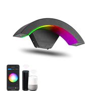 ZYFSHA LED 9W Outside Dimmable Wall Lights Smart RGB Color Changing Wall Lights IP65 Outdoor Aluminum Waterproof Wall Lamp APP Control Compatible with Alax and Google Assistant, Black Lofty Ambition