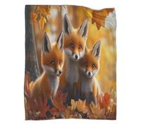 ZYGAOKDD Ultra-Soft Fox Microfibre Blanket Warm 3D Printing Throw Blanket Home Decor for Bed Sofa Travel 50x60inch(127x152cm)