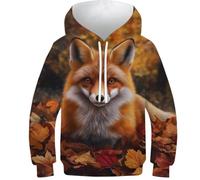 ZYGAOKDD Unisex Hoodies 3D Print Fox Pullover Hooded Sweatshirt Hoodies with Big Pockets for Teen Men, Teen Boy, Women 8-10Y