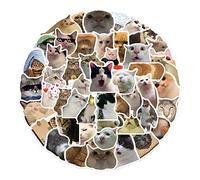 ZYHARUKO 50pcs Cute Cats Animal Stickers Pack Colorful Waterproof Stickers for Skateboards and Laptop for Teens Kids Adults
