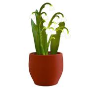 ZYHARUKO Decorative Lilys Night Light PETG Texture Touch Dimmer Control Low Noise Bedroom Lamp For Wall Tabletop Shelf Display Touch Control Night Lamp