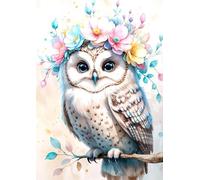 ZYHDK 1500 Pieces ，Colorful Fun Puzzle ，Pictures ，Gifts ，Cute Owlss Art Poster ，Elderly Memory Cognition Games ，Adult Personalised Challenge Toys - Yz217Wk