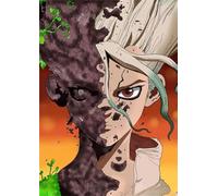 ZYHDK 1500 Pieces - Poster - Gifts - Colorful Jigsaw - Classic Japanese Animes Dr.Stone Ishigami Art Pictures - Children'S Educational Toys - Adults Challenge Game - Yz292Wk
