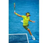 ZYHDK Colourful ， Irregular Puzzle ，1500 Pieces ，Tennis Player Poster ，Adult Personalised Challenge Toys ，Family Fun Challenge Toys - Kz379Dw