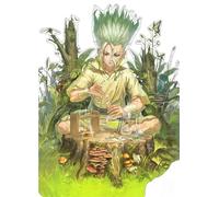 ZYHDK Puzzle 1500 Pieces ，Colorful Jigsaw ，Pictures ，Gifts ，Classic Japanese Animes Dr.Stone Ishigami Poster Puzzle ，Children'S Challenge Games - Yz407Wk