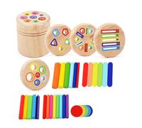 ZYIHNIRB Color Sorting Sticks Educational Wooden Sensory Toy for Toddlers Developing Cognitive Skills Fine Motor Skills Color Classification Ad, 5 in 1