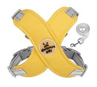 ZYKEJJDDAK Dog Harness Leash Set Puppy Vest Escape Proof Harnesses for Small Dogs Comfortable Reflective