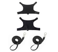 ZYKEJJDDAK Lizards Harness And Leash Set Fashion Print Safe Small Pet Training Harness For Outdoor Walking Reptiles Supply 2Set