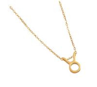 ZYKEJJDDAK Stylish Steel Constellations Necklace Letter Symbol Necklace Twelve Astrological Sign Clavicle Chain Chokers