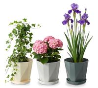Zykphao 3PCS Plastic Flower Pots, 17CM Colorful Flower Pots Perfect for Indoor and Outdoor with Drainage Hole and Tray for All Plants for Flowers Herbs Succulents Cactus (3 Colors)