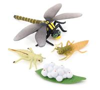 Zymoplas 1 Set Life Cycle Models Exquisite Lifecycle Model Creative Simulation Animals Playthings Animal Toy for Children, Dragonfly