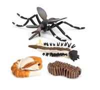 Zymoplas 1 Set Mosquito Model Creative Educational Prop Education Playthings Display Props Growth Models Life Cycle Toy for School
