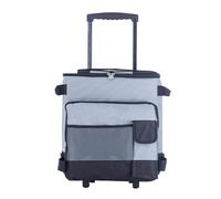 Zymoplas 43L Bag with and Pull Rod Capacity Camping Cooler Portable Multi - Picnic PP Waterproof Durable for Outdoor Camping, grey