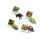 Zymoplas Educational Realistic Life Cycle Figurines Toy for Party Favors Fun and Interactive Simulation Animal, Seven Stars