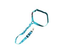 Zymoplas For Pets - Strong And Easy To Fasten Ensuring Easy To Use Collar Pet Dog Strong Practicality, Sky Blue, 1