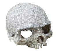 ZYMY Aquarium Decorated Skeleton Hole Resin Artificial Dinosaur Skeleton Ornament Aquarium Decorated Cave Landscape Pet Reptile House (Artificial Human Skull)