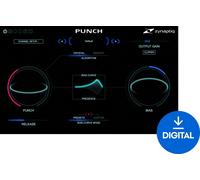 Zynaptiq PUNCH (Digital product)