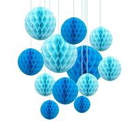 ZYOOO 12pcs Blue Honeycomb Ball Decorations Hanging Tissue Paper,2 Color of 10 Inch,6 Inch