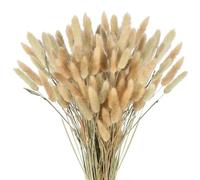 Zythrem 100Pcs Rabbit Tail Dried Flowers Bunny Tails Grass Natural Dried Flowers Bunny Tails Pampass Grass Decor for Boho Decor Fluffy Flowers Arrangement Wedding Home Party Decor