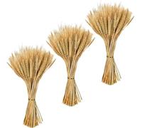 Zythrem 300 Stems 40cm Dried Wheat Flowers Natural Wheat Stalks Bundle Dried Wheat Sheaves Natural Ear of Grain Dry Grass Bunch Fall Arrangement for DIY Craft Autumn Wreath Home Table Wedding Decor