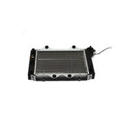 ZyuAip Radiator Water Cooling Water Tank With Thermostat For 200 250 150cc Engine ATV UTV Bike Accessories(75 degrees)