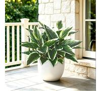 ZYUQFAN 4PCS Artificial Tropical Green Plants Fake Hostas Artificial Plants | 40 cm UV Resistant, Faux Green Leaf Stems for Porch, Patio, Balcony, Garden Planter or Indoor Décor (4PCS)