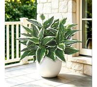 ZYUQFAN 8PCS Artificial Tropical Green Plants Fake Hostas Artificial Plants | 40cm UV Resistant, Faux Green Leaf Stems for Porch, Patio, Balcony, Garden Planter or Indoor Décor (8PCS)