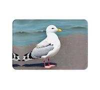 ZYVIA Cute Seagull Doormat,Flannel Non-Slip Floor Mat 16x24 Inches Non-Slip Non-Shedding Both Remove Dirt Snow and Mud Suitable for Kitchen Bathroom Bedroom Front Door