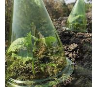 ZYWUOY 12 Pack Plant Cloches, Transparent Reusable Plastic Covers for Frost Wind Protection, Round Greenhouse Domes for Home Garden 20x20x24cm
