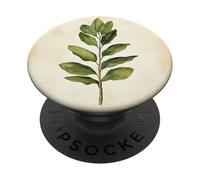 ZZ Plant Vintage Scientific Illustration Plant PopSockets Adhesive PopGrip