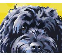 ZZDXW Kids'Painting by Numbers Black Dog Number Painting DIY Craft Kits - 16 x 20 Inch Acrylic Oil Painting On Canvas- Set for Adults Beginner(Without Frame)
