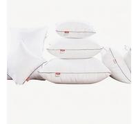 ZZDZW Extra Large Cushion Inner Pads,Square & Rectangular Pillows Inserts Decorative Throw Pillow Core Stuffer With Zipper PP Cotton Fillings For Bedroom Couch Sofa Cushion Filling(35x75cm 1pc)