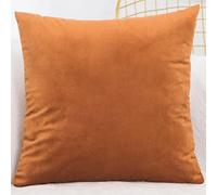 ZZDZW Velvet Cushion Covers 45cm x 45cm ，50cm x 50cm，60cm x 60cm，Square Throw Pillow Cover 40x40，Sofa Cushion Covers for Bedroom Couch Living Room with Invisible Zipper (Color : #2, Size : 40x40cm)