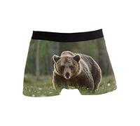 ZZKKO Brown Bear Mens Boxer Briefs Underwear Breathable Stretch Boxer Trunk with Pouch L