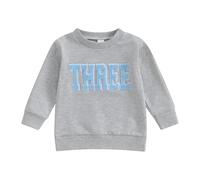 ZZLBUF Baby Boy Girl Birthday Clothes One/Two/Three/Four/Five/Six Sweatshirt Long Sleeve Pullovers Jumper Tops Shirt (Gray Three, 3-4 Years)
