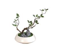 ZZlei2yu-12 Artificial Plants Chinese-style Bonsai, Artificial Green Plants, Teahouse Tea Room Landscape Decoration(White)