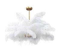 ZZLHY Aluminum Pendant Lighting Fixture for Bar Dining Living Room Bedroom,Auxiliary Light Source LED E14+ Nordic Chandelier,Structure Feather