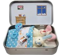 ZZLMDZ Little Pocket Bunny, Easter Basket Stuffer, DIY Pet Bunny Adoption, Easters Baskets Decorative Boxes, Easter Gifts for Kids, Personalised Mini Plush House with Greeting Card and Box (Blue)