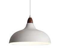 ZZTDHG Scandinavian Chandelier Lampshade. Wabi-sabi Japanese Pendant Light Fixture. Dining Table Hanging Single Head Metal Droplight. Compatible with Living Room, Study, Office, Chandeliers