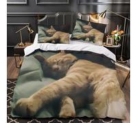ZZVRMCYLD sleeping cat 3D Pattern Duvet Cover 3-Piece Microfiber Breathable Hidden cozy indoor scene Comforter Cover 2 Pillowcases Durable Home Decor Family Bedroom Double（200x200cm）