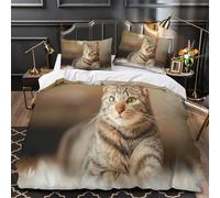 ZZVRMCYLD tabby cat eyes 3D Digital Print Duvet Cover Set 3pcs Ultra-Soft Microfibre Skin-Friendly Quilt Cover 2 Pillow Shams Zippered Closure Machine Washable Kids Teens Room Super king（260x220cm）