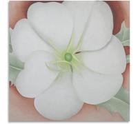 ZZYGGN GMGSW Georgia O'Keeffe《White Flower》Wall Art Georgia O'Keeffe Poster Floral Modern Prints Retro Painting Canvas for Home Decor Picture 50x50cm No Frame