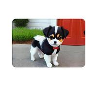 ZZYYDS Front Door Mat, Durable Outdoor Indoor Welcome Mat, 15.7x23.6 Inchï¼ŒGreyBlack and White Puppy