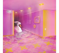 zzzahara - liminal spaces [VINYL]